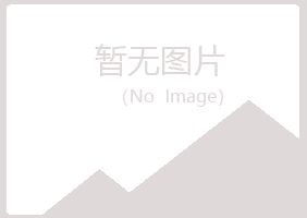 西吉县女孩工程有限公司